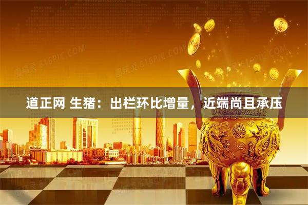 道正网 生猪：出栏环比增量，近端尚且承压