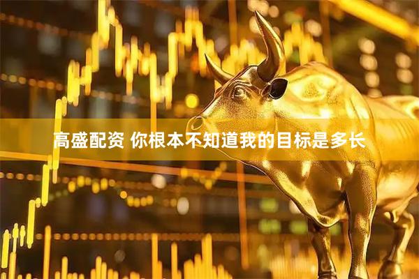 高盛配资 你根本不知道我的目标是多长