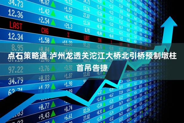 点石策略通 泸州龙透关沱江大桥北引桥预制墩柱首吊告捷